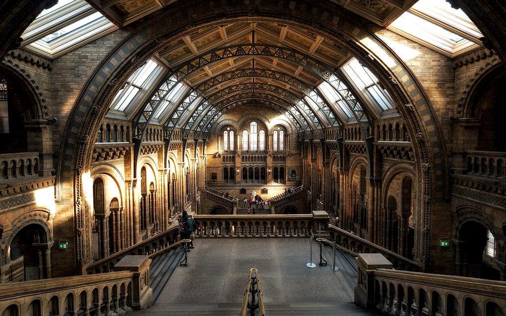 Echipa xygosae colaborând la proiecte de amenajare interioară