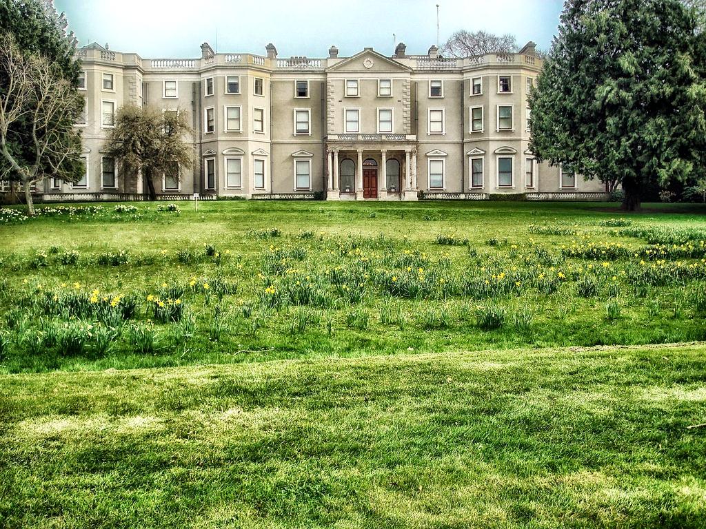 Imagine reprezentând comunicare și contact cu xygosae